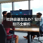 杜鹃衰退怎么办？复壮技巧全解析（图3）