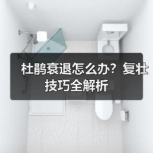 杜鹃衰退怎么办？复壮技巧全解析（图4）