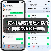 花木枝条变硬是木质化?图解过程轻松理解(图2) 花木枝条变硬是木质化?图解过程轻松理解(图2)