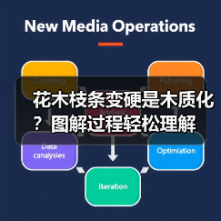 花木枝条变硬是木质化?图解过程轻松理解(图4) 花木枝条变硬是木质化?图解过程轻松理解(图4)