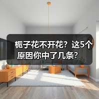 栀子花不开花？这5个原因你中了几条？（图4）