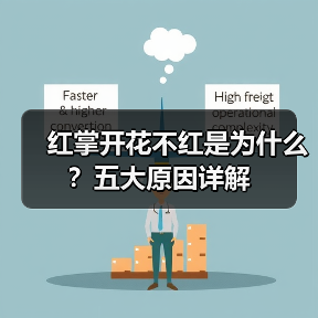 红掌开花不红是为什么?五大原因详解(图2) 红掌开花不红是为什么?五大原因详解(图2)