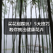 买花别踩坑!5大技巧教你挑出健康花卉(图4) 买花别踩坑!5大技巧教你挑出健康花卉(图4)