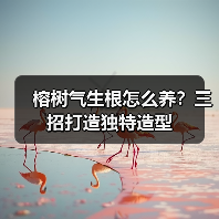 榕树气生根怎么养?三招打造独特造型(图1) 榕树气生根怎么养?三招打造独特造型(图1)