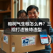榕树气生根怎么养?三招打造独特造型(图2) 榕树气生根怎么养?三招打造独特造型(图2)