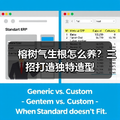 榕树气生根怎么养?三招打造独特造型(图4) 榕树气生根怎么养?三招打造独特造型(图4)