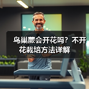 鸟巢蕨会开花吗?不开花栽培方法详解(图2) 鸟巢蕨会开花吗?不开花栽培方法详解(图2)