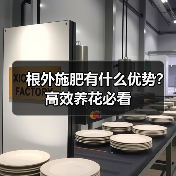 根外施肥有什么优势？高效养花必看（图4）