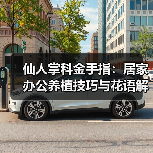 仙人掌科金手指:居家办公养植技巧与花语解析(图2) 仙人掌科金手指:居家办公养植技巧与花语解析(图2)