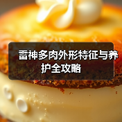 雷神多肉外形特征与养护全攻略(图2) 雷神多肉外形特征与养护全攻略(图2)