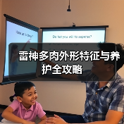 雷神多肉外形特征与养护全攻略(图3) 雷神多肉外形特征与养护全攻略(图3)