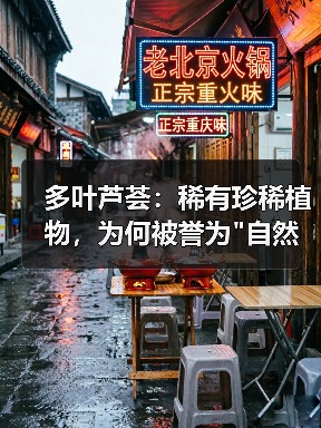多叶芦荟:稀有珍稀植物,为何被誉为 多叶芦荟:稀有珍稀植物,为何被誉为