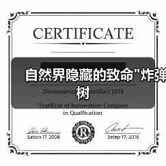 自然界隐藏的致命 自然界隐藏的致命