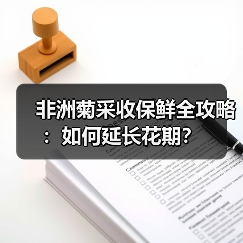 非洲菊采收保鲜全攻略:如何延长花期?(图1) 非洲菊采收保鲜全攻略:如何延长花期?(图1)