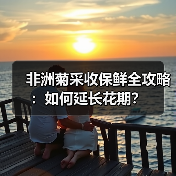 非洲菊采收保鲜全攻略:如何延长花期?(图2) 非洲菊采收保鲜全攻略:如何延长花期?(图2)
