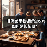 非洲菊采收保鲜全攻略:如何延长花期?(图3) 非洲菊采收保鲜全攻略:如何延长花期?(图3)