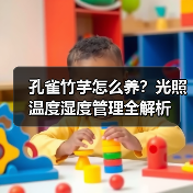 孔雀竹芋怎么养?光照温度湿度管理全解析(图2) 孔雀竹芋怎么养?光照温度湿度管理全解析(图2)