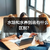 水培和水养到底有什么区别?(图3) 水培和水养到底有什么区别?(图3)