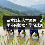 苗木经纪人常国辉:淡季不闲忙啥?学习成关键(图4) 苗木经纪人常国辉:淡季不闲忙啥?学习成关键(图4)