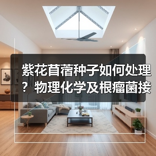紫花苜蓿种子如何处理?物理化学及根瘤菌接种方法全解析(图1) 紫花苜蓿种子如何处理?物理化学及根瘤菌接种方法全解析(图1)