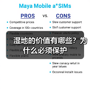 湿地的价值有哪些?为什么必须保护(图3) 湿地的价值有哪些?为什么必须保护(图3)