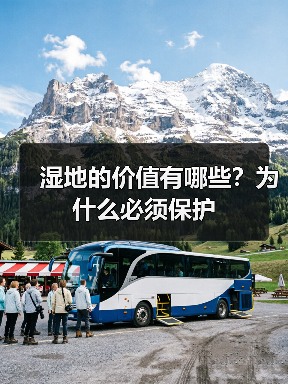 湿地的价值有哪些?为什么必须保护(图1) 湿地的价值有哪些?为什么必须保护(图1)