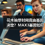 花木抽芽时间竟由基因决定?MAX3基因如何掌控生长(图4) 花木抽芽时间竟由基因决定?MAX3基因如何掌控生长(图4)