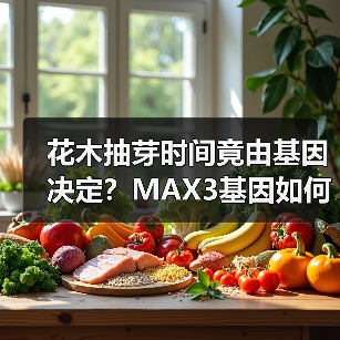 花木抽芽时间竟由基因决定?MAX3基因如何掌控生长(图3) 花木抽芽时间竟由基因决定?MAX3基因如何掌控生长(图3)