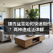 银杏盆景如何快速制作?两种速成法详解(图3) 银杏盆景如何快速制作?两种速成法详解(图3)