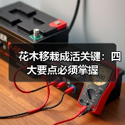 花木移栽成活关键:四大要点必须掌握(图2) 花木移栽成活关键:四大要点必须掌握(图2)