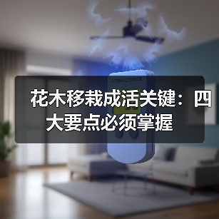 花木移栽成活关键:四大要点必须掌握(图1) 花木移栽成活关键:四大要点必须掌握(图1)