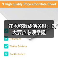 花木移栽成活关键:四大要点必须掌握(图4) 花木移栽成活关键:四大要点必须掌握(图4)