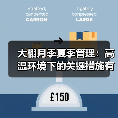大棚月季夏季管理:高温环境下的关键措施有哪些?(图2) 大棚月季夏季管理:高温环境下的关键措施有哪些?(图2)