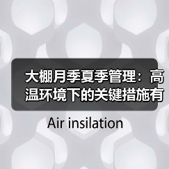 大棚月季夏季管理:高温环境下的关键措施有哪些?(图1) 大棚月季夏季管理:高温环境下的关键措施有哪些?(图1)