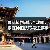 香草植物栽培全攻略:家庭种植技巧与注意事项(图2) 香草植物栽培全攻略:家庭种植技巧与注意事项(图2)