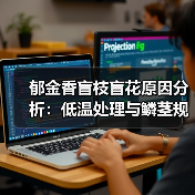 郁金香盲枝盲花原因分析:低温处理与鳞茎规格的影响(图2) 郁金香盲枝盲花原因分析:低温处理与鳞茎规格的影响(图2)