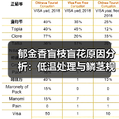 郁金香盲枝盲花原因分析:低温处理与鳞茎规格的影响(图4) 郁金香盲枝盲花原因分析:低温处理与鳞茎规格的影响(图4)