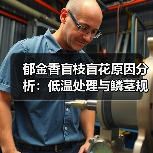 郁金香盲枝盲花原因分析:低温处理与鳞茎规格的影响(图3) 郁金香盲枝盲花原因分析:低温处理与鳞茎规格的影响(图3)