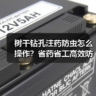 树干钻孔注药防虫怎么操作?省药省工高效防治技巧(图2) 树干钻孔注药防虫怎么操作?省药省工高效防治技巧(图2)