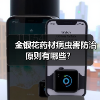 金银花药材病虫害防治原则有哪些?(图1) 金银花药材病虫害防治原则有哪些?(图1)