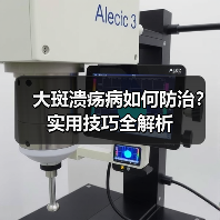 大斑溃疡病如何防治?实用技巧全解析(图4) 大斑溃疡病如何防治?实用技巧全解析(图4)