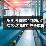 果树根瘤病如何防治？有效识别与治疗全解析（图2）