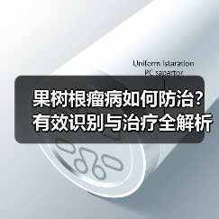 果树根瘤病如何防治？有效识别与治疗全解析（图4）