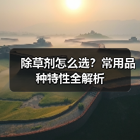 除草剂怎么选?常用品种特性全解析(图2) 除草剂怎么选?常用品种特性全解析(图2)