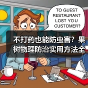 不打药也能防虫害?果树物理防治实用方法全解析(图1) 不打药也能防虫害?果树物理防治实用方法全解析(图1)