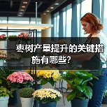 枣树产量提升的关键措施有哪些?(图1) 枣树产量提升的关键措施有哪些?(图1)