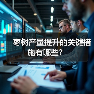 枣树产量提升的关键措施有哪些?(图2) 枣树产量提升的关键措施有哪些?(图2)