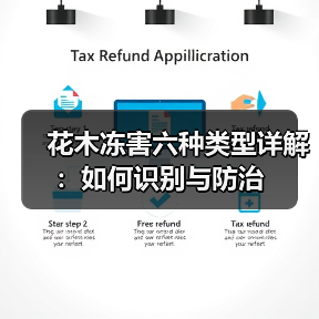 花木冻害六种类型详解:如何识别与防治(图1) 花木冻害六种类型详解:如何识别与防治(图1)