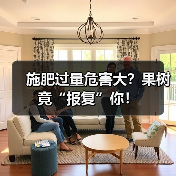 施肥过量危害大？果树竟“报复”你！（图2）