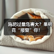 施肥过量危害大？果树竟“报复”你！（图4）